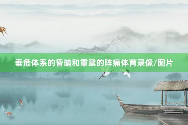 垂危体系的昏暗和重建的阵痛体育录像/图片