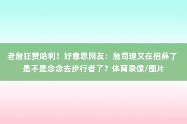 老詹狂赞哈利！好意思网友：詹司理又在招募了 是不是念念去步行者了？体育录像/图片