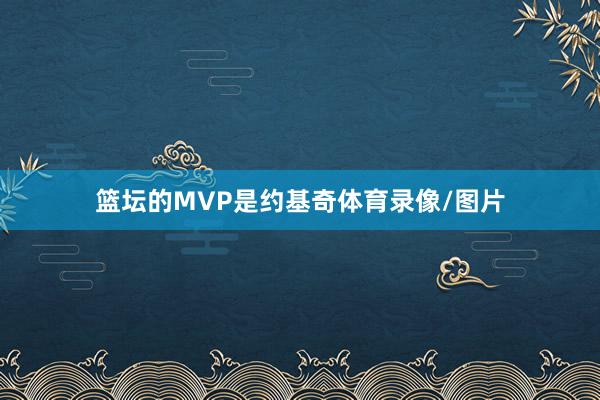 篮坛的MVP是约基奇体育录像/图片