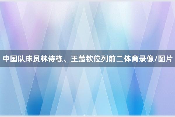 中国队球员林诗栋、王楚钦位列前二体育录像/图片