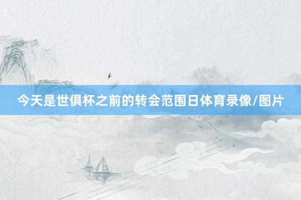 今天是世俱杯之前的转会范围日体育录像/图片