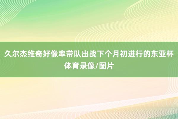 久尔杰维奇好像率带队出战下个月初进行的东亚杯体育录像/图片