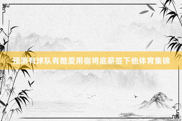 预测有球队有酷爱用宿将底薪签下他体育集锦