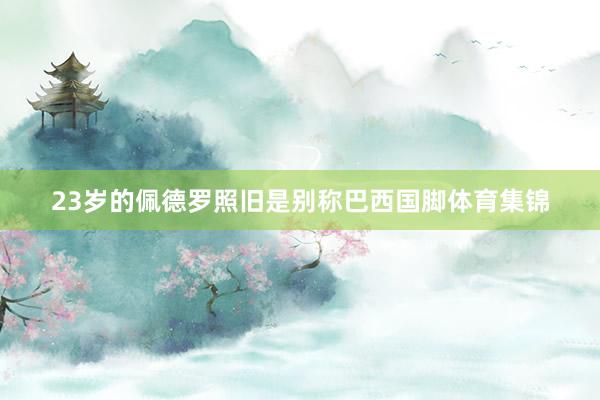 23岁的佩德罗照旧是别称巴西国脚体育集锦