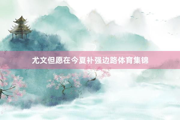 尤文但愿在今夏补强边路体育集锦
