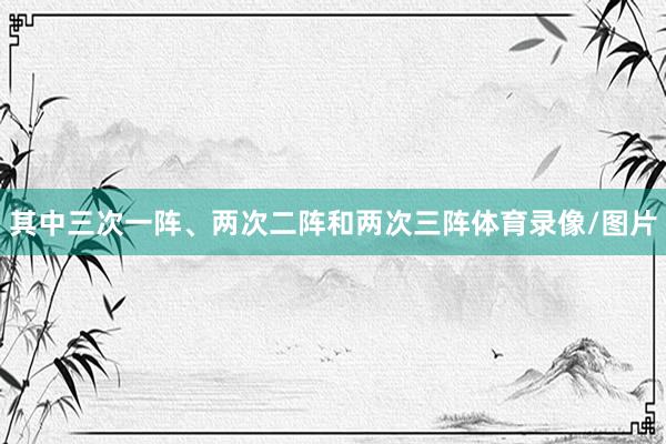 其中三次一阵、两次二阵和两次三阵体育录像/图片