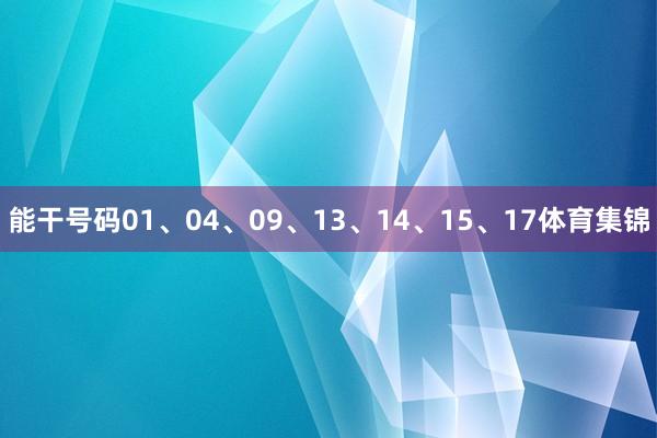 能干号码01、04、09、13、14、15、17体育集锦