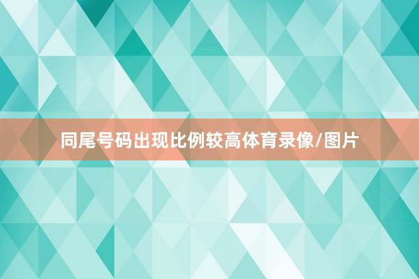 同尾号码出现比例较高体育录像/图片