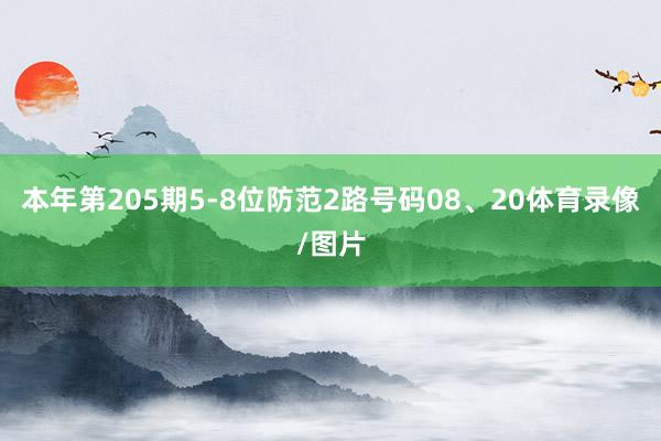 本年第205期5-8位防范2路号码08、20体育录像/图片