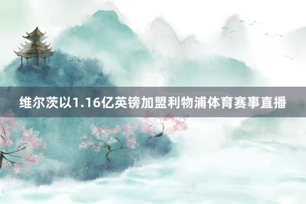 维尔茨以1.16亿英镑加盟利物浦体育赛事直播