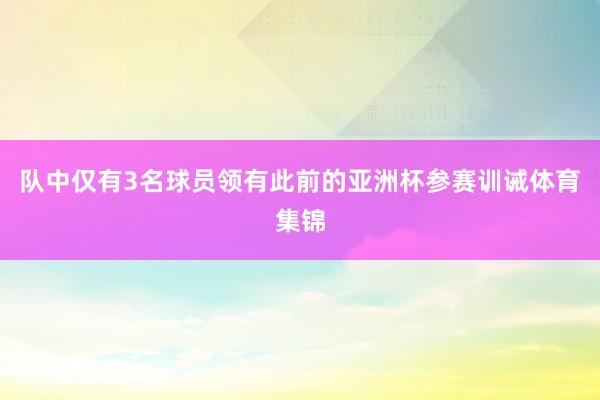 队中仅有3名球员领有此前的亚洲杯参赛训诫体育集锦