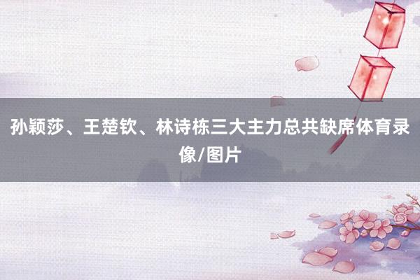 孙颖莎、王楚钦、林诗栋三大主力总共缺席体育录像/图片