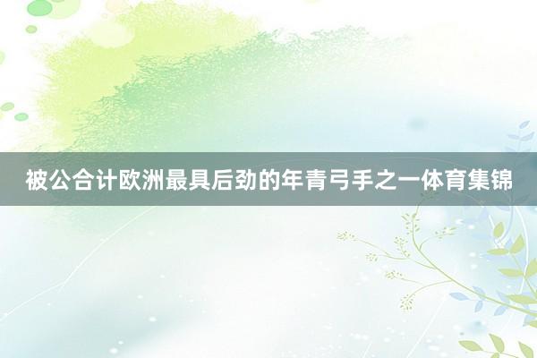 被公合计欧洲最具后劲的年青弓手之一体育集锦