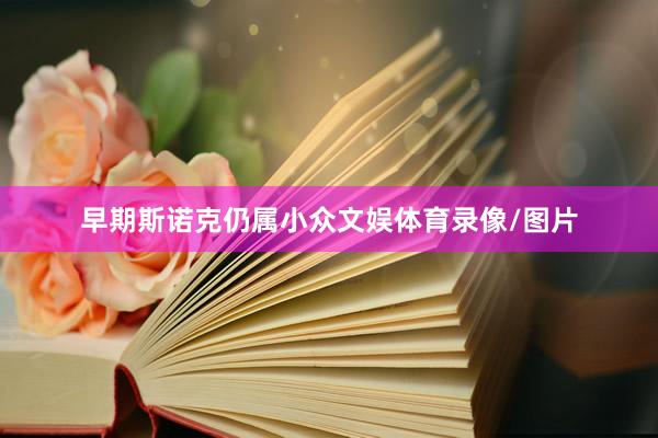 早期斯诺克仍属小众文娱体育录像/图片