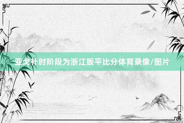 亚戈补时阶段为浙江扳平比分体育录像/图片