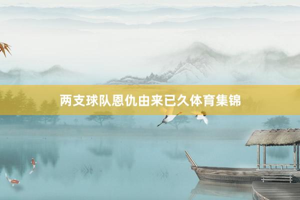 两支球队恩仇由来已久体育集锦