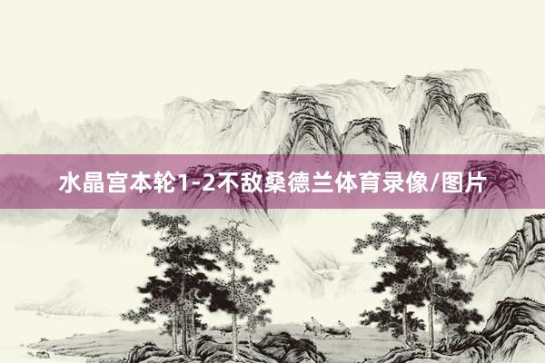 水晶宫本轮1-2不敌桑德兰体育录像/图片