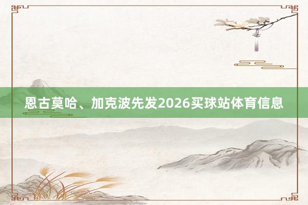 恩古莫哈、加克波先发2026买球站体育信息