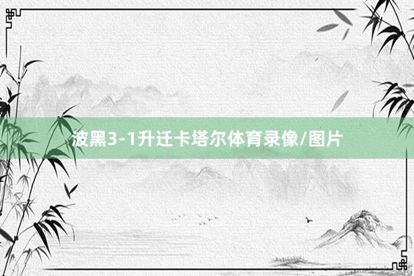 波黑3-1升迁卡塔尔体育录像/图片